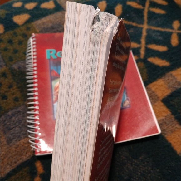 BJU Press Reading 4 - Picture 3 of 4